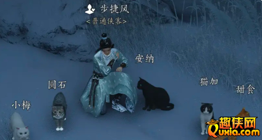 燕云十六声步捷风怎么结交 对话技巧分享