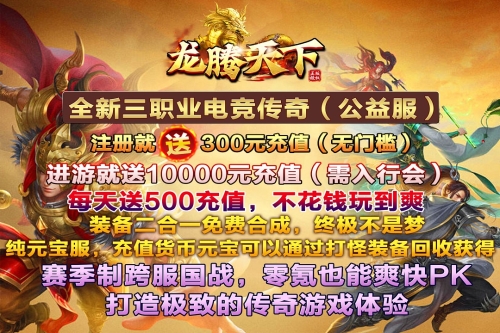 龙腾天下截图