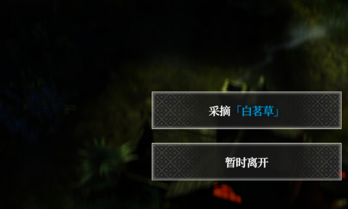 地下城堡4白茗草任务怎么做