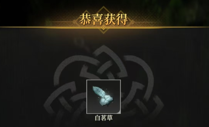 地下城堡4白茗草任务怎么做