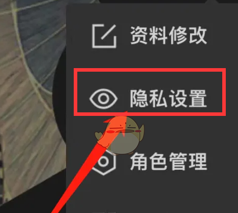 掌上英雄联盟怎么隐藏皮肤